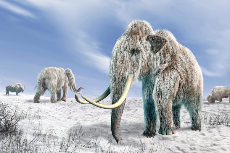 Photo Courtesy of: https://scitechdaily.com/controversial-theory-on-extinction-of-ice-age-animals-supported-by-new-evidence/