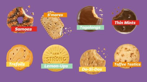 What is the Best Girl Scout Cookie?