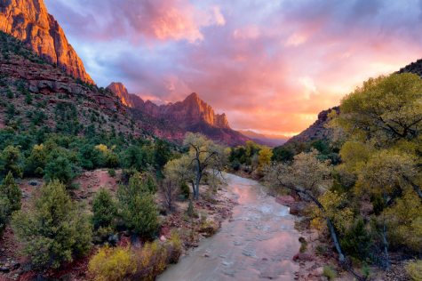 Courtesy of Zion National Park