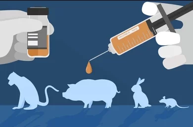 Should Animal Testing be Banned?