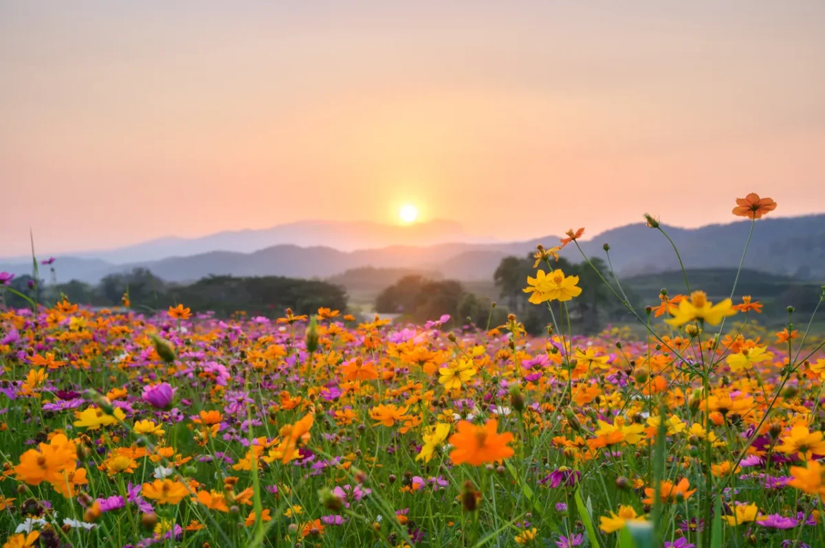 Health Benefits of Spring Break