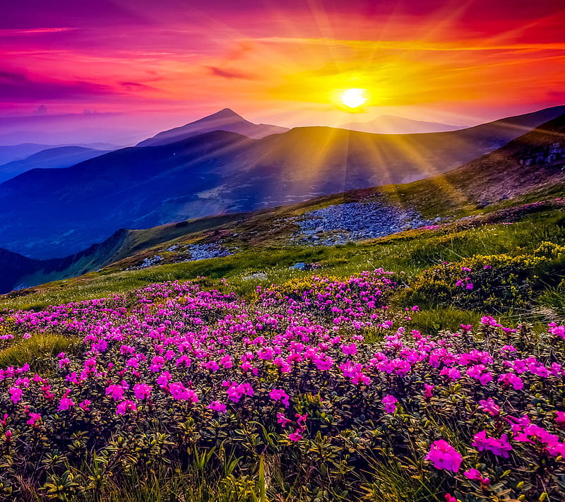 The Beauty of Spring Weather