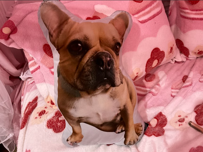 My Dog Penny